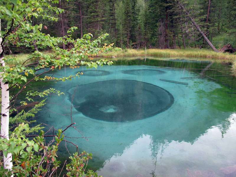 ��������� ����� �����