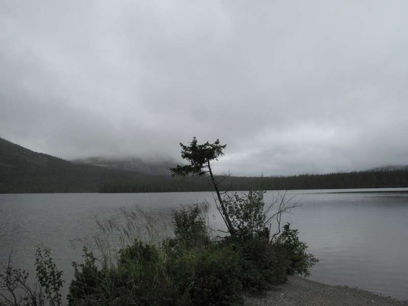 ������